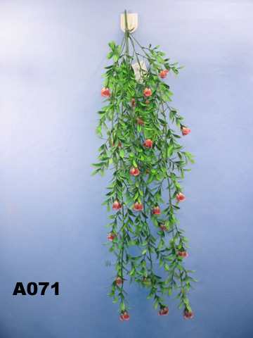 A071